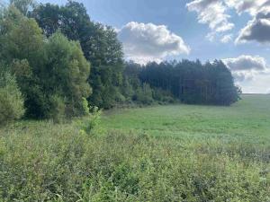 Prodej pole, Čížkov, 26931 m2