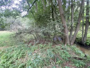 Dražba louky, Úterý, 7600 m2