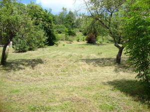 Prodej pozemku, Bělá nad Svitavou, 921 m2