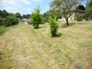 Prodej pozemku, Bělá nad Svitavou, 921 m2