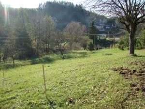 Prodej pozemku, Bělá nad Svitavou, 921 m2