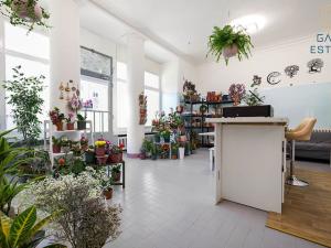 Prodej obchodního prostoru, Holešov, U Letiště, 55 m2