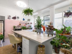 Prodej obchodního prostoru, Holešov, U Letiště, 55 m2