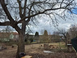 Prodej pozemku pro bydlení, Podluhy, 1234 m2