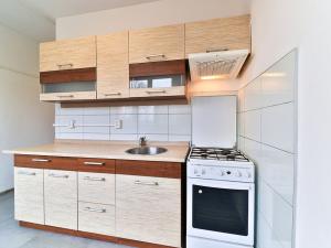 Pronájem bytu 1+1, Habartov, Raisova, 35 m2