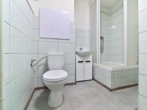 Pronájem bytu 1+1, Habartov, Raisova, 35 m2