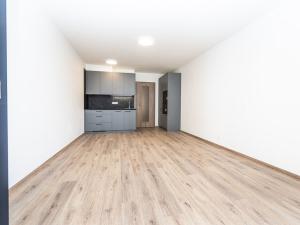 Pronájem bytu 1+kk, Praha - Háje, Výstavní, 33 m2