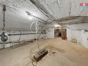 Prodej restaurace, Děčín - Děčín IV-Podmokly, Teplická, 1000 m2