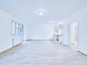 Pronájem bytu 1+kk, Plzeň, Rejskova, 45 m2