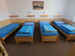 Prodej rodinného domu, Bánov, 315 m2