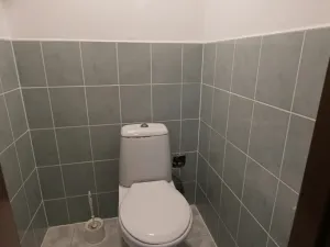 Prodej rodinného domu, Bánov, 315 m2