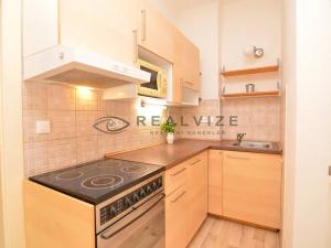 Pronájem bytu 1+1, České Budějovice, Dobrovodská, 37 m2