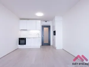 Pronájem bytu 1+kk, Praha - Žižkov, Jana Želivského, 34 m2