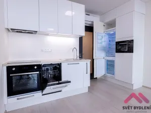 Pronájem bytu 1+kk, Praha - Žižkov, Jana Želivského, 34 m2