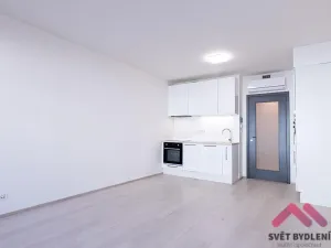 Pronájem bytu 1+kk, Praha - Žižkov, Jana Želivského, 34 m2