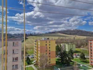 Prodej bytu 1+1, Bruntál, Horní, 35 m2