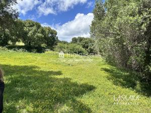 Prodej komerčního pozemku, Kefalonia, Leivathos, Řecko, 20000 m2