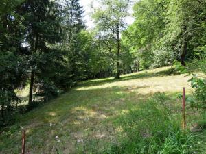 Prodej pozemku, Stříbrná Skalice, osada Spálený, 1015 m2