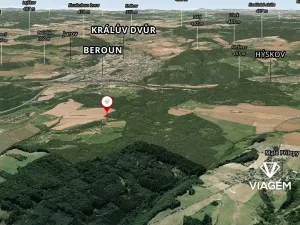 Prodej lesa, Vráž, 2989 m2