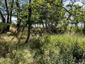 Prodej pozemku, Toužim, 3798 m2