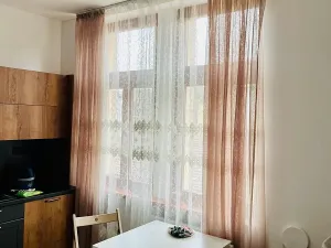 Pronájem bytu 1+kk, Praha - Podolí, Sinkulova, 31 m2