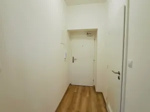 Pronájem bytu 1+kk, Praha - Podolí, Sinkulova, 31 m2