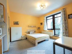 Prodej bytu 1+kk, Harrachov, 26 m2