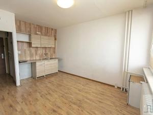 Prodej bytu 1+kk, Litvínov, Mostecká, 22 m2