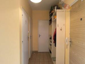 Pronájem bytu 1+1, Olomouc, Handkeho, 47 m2