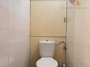Pronájem bytu 1+1, Olomouc, Handkeho, 47 m2