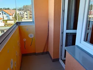 Prodej bytu 3+1, Borek, Družstevní, 73 m2