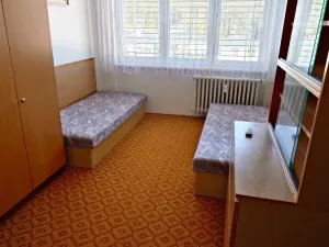 Prodej bytu 3+1, Borek, Družstevní, 73 m2
