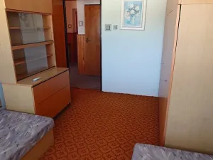 Prodej bytu 3+1, Borek, Družstevní, 73 m2