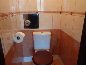 Prodej bytu 3+1, Borek, Družstevní, 73 m2