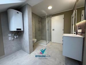 Pronájem bytu 3+kk, Teplice, Novosedlická, 57 m2