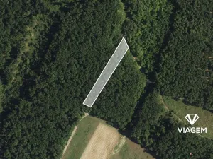 Prodej podílu lesa, Bořetice, 507 m2