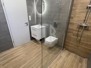 Pronájem bytu 3+kk, Staré Hodějovice, Hodějovická, 57 m2
