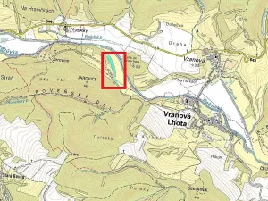 Prodej lesa, Vranová Lhota, 5254 m2