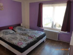Prodej vícegeneračního domu, Holedeč, 220 m2