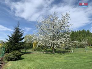 Prodej zahrady, Hronov, 5538 m2
