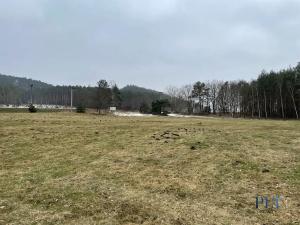 Prodej pozemku, Jestřebí, 9173 m2