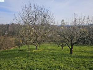 Prodej vícegeneračního domu, Brušperk, 340 m2
