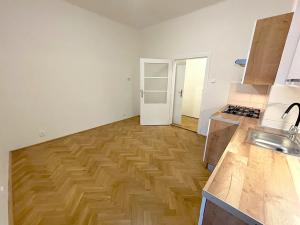 Pronájem bytu 1+kk, Brno, Havlišova, 25 m2