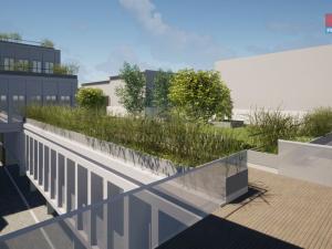 Pronájem obchodního prostoru, Opava - Město, Masarykova třída, 50 m2