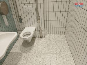 Pronájem obchodního prostoru, Opava - Město, Masarykova třída, 30 m2