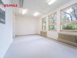 Pronájem kanceláře, Nymburk, Velké Valy, 250 m2