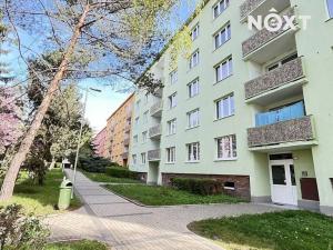 Pronájem bytu 2+1, Žatec, Pražská, 61 m2