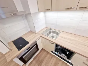 Pronájem bytu 1+kk, Praha - Holešovice, Jankovcova, 30 m2