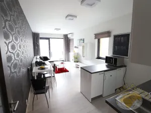 Pronájem bytu 1+kk, Praha - Karlín, U Mlýnského kanálu, 41 m2