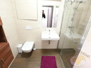 Pronájem bytu 1+kk, Praha - Karlín, U Mlýnského kanálu, 41 m2